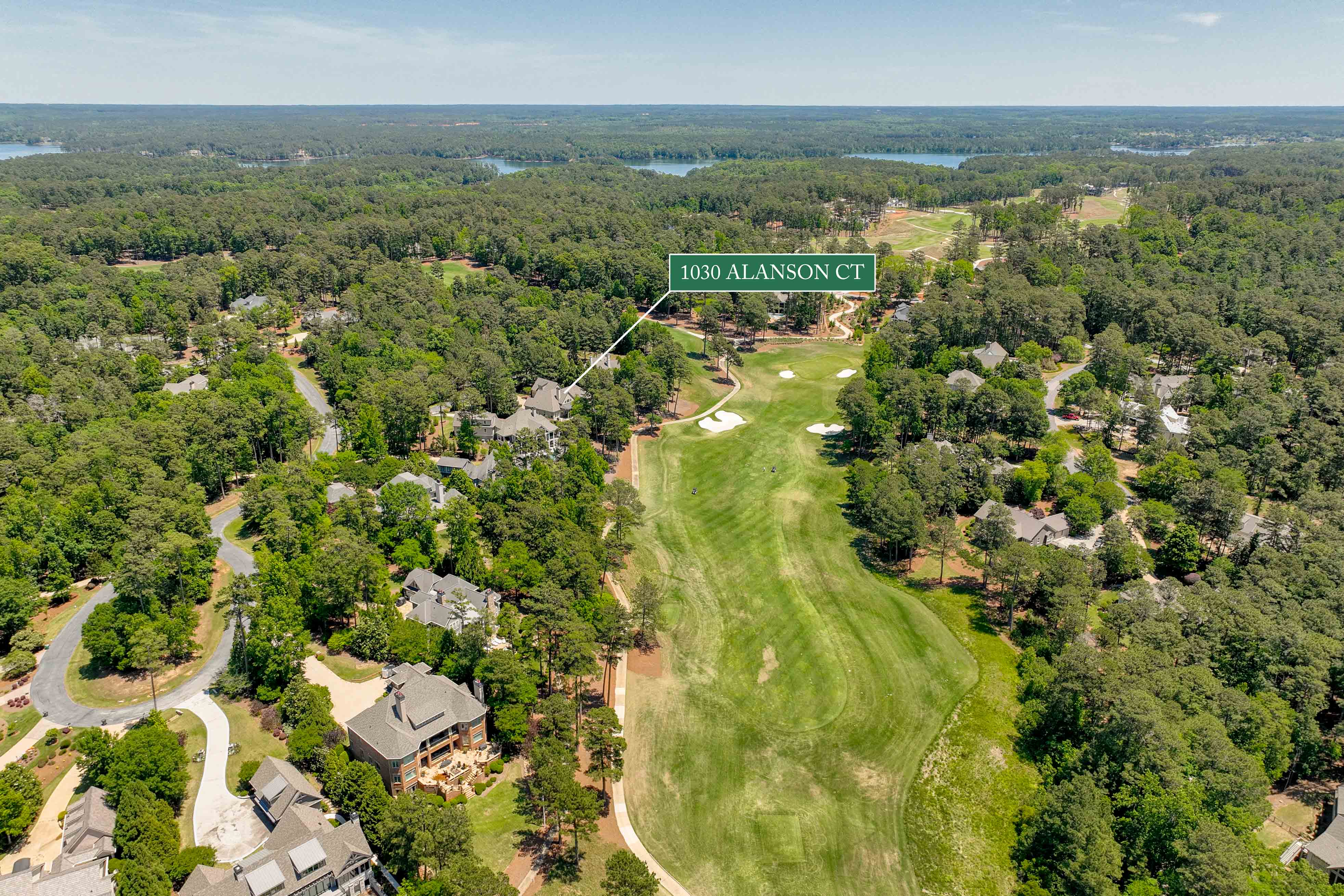 1030 Alanson Court image 52